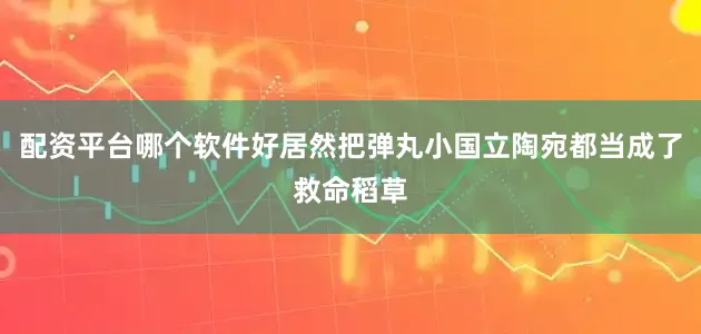 配资平台哪个软件好居然把弹丸小国立陶宛都当成了救命稻草