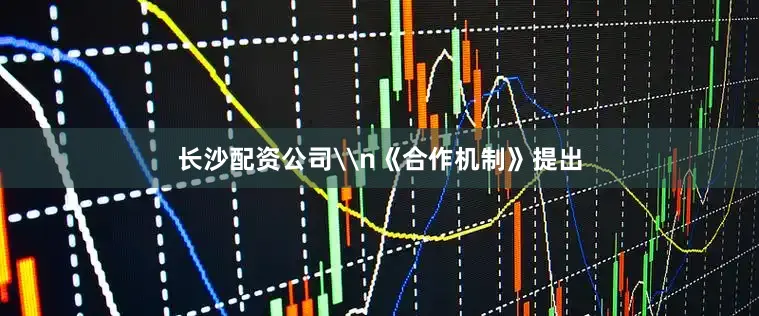 长沙配资公司\n《合作机制》提出