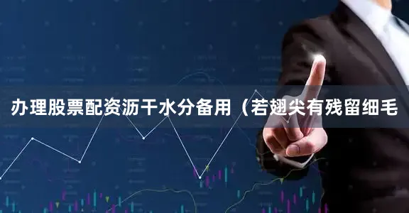 办理股票配资沥干水分备用(若翅尖有残留细毛